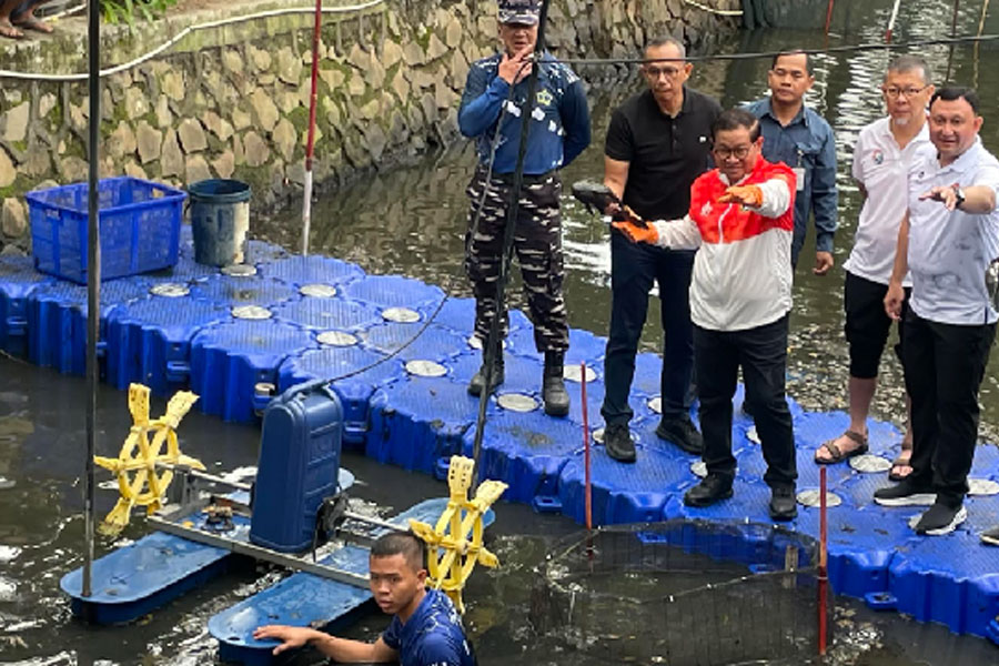 Jakarta-Mulai-Perang-Basmi-Ikan-Sapu-Sapu-Serentak-di-5-Kota